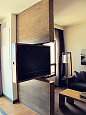 TV Swivel Concepts – Very Practical And Perfect For Modern Homes
