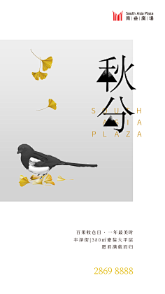 aYn🐭采集到秋分海报