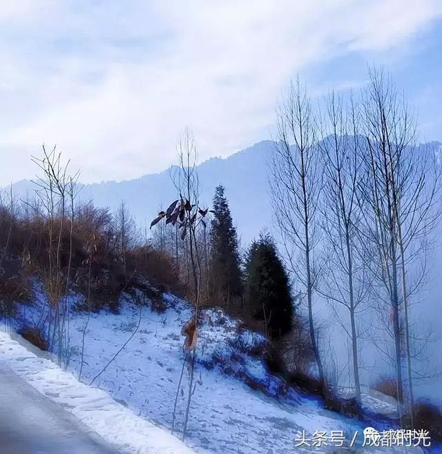 成都汶川耿达神树坪下雪后风景不错哦还有大熊猫哦