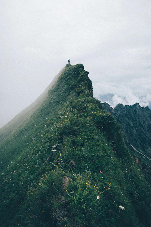 我想在那最高的山峰矗立