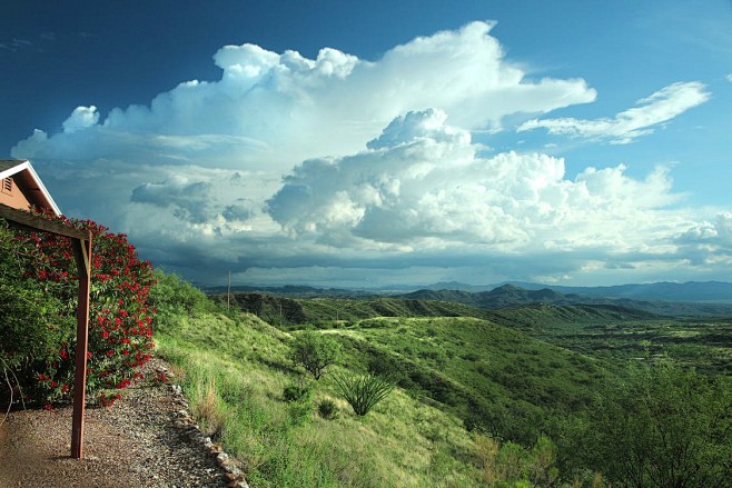 viewofgreengrassfield