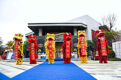 尽洗·铅华采集到舞狮