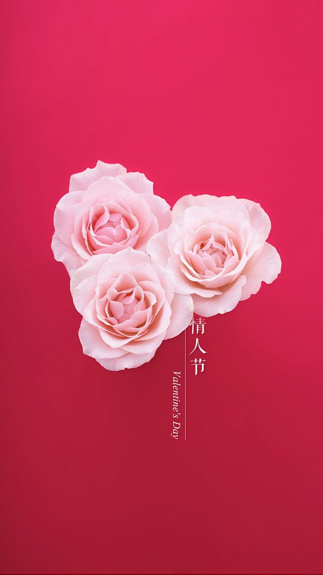 那年い从oneser转采于2021-02-07 15:00:11情人节情人节那年い该采集