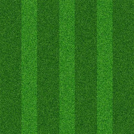 grass texture