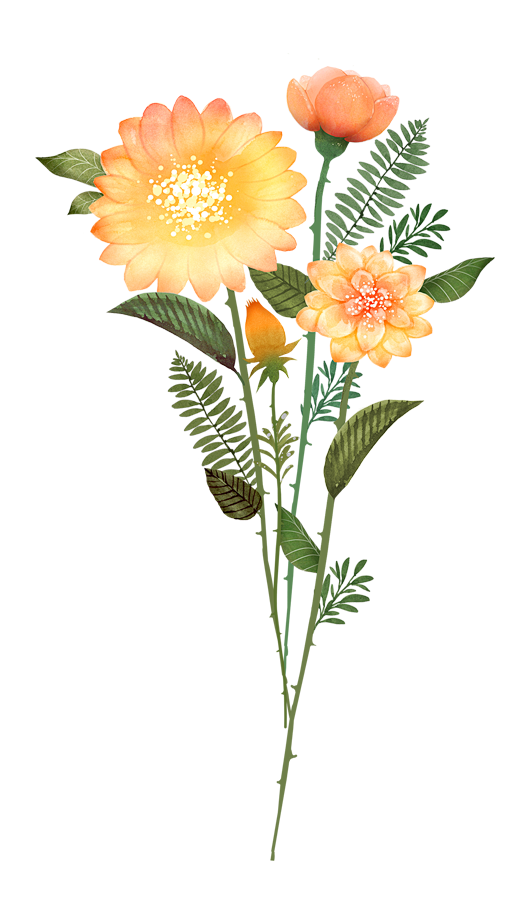 花插画