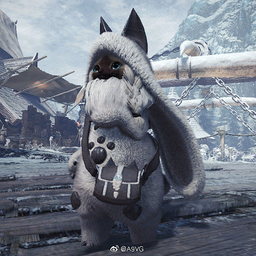 垂皮龙猫装怪物猎人3烟花猫怪物猎人斗篷猫猛牛套猫随从猫怪物猎人