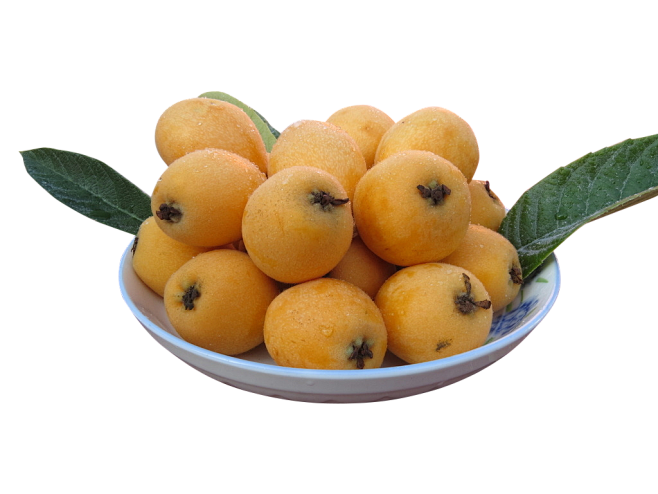 枇杷 水果 素材 png