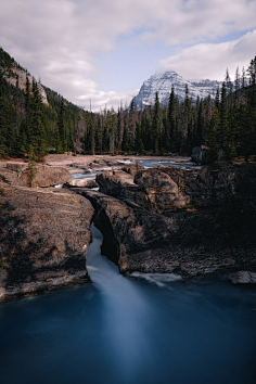 com silhouette of trees under starry night 菠萝可可冰采集到菠萝