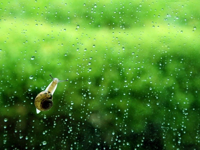 雨唯美傷感意境圖片