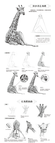 木乙采集到教程