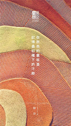 棉大花儿采集到汤臣一品合集