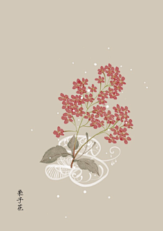 芍药居一霸采集到不知道叫啥名