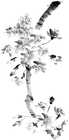 淡然いで微笑***采集到中国风——元素