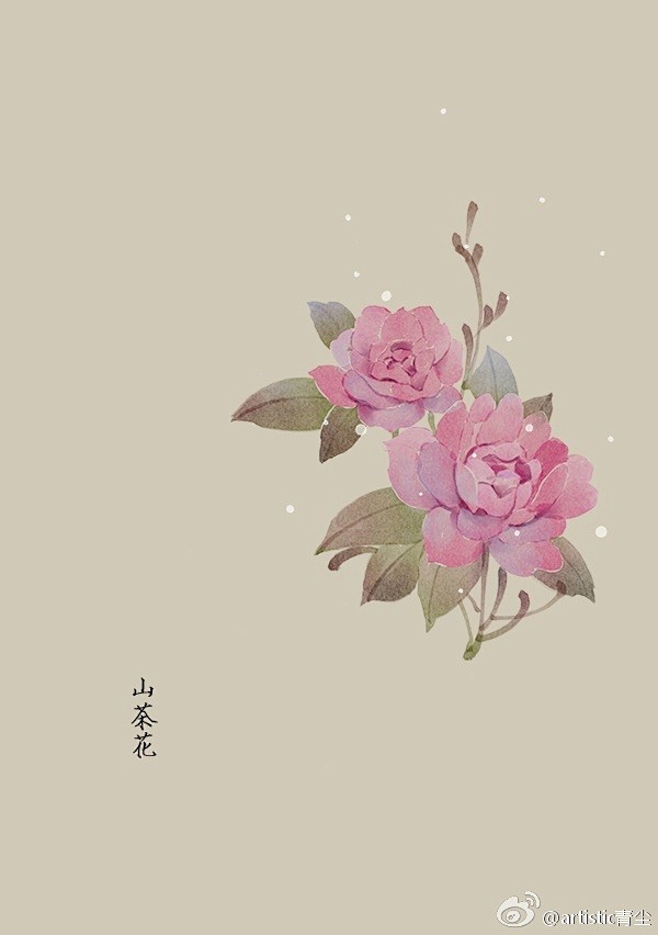 365天生日花 4月29日山茶花 Camellia 花语 魅力