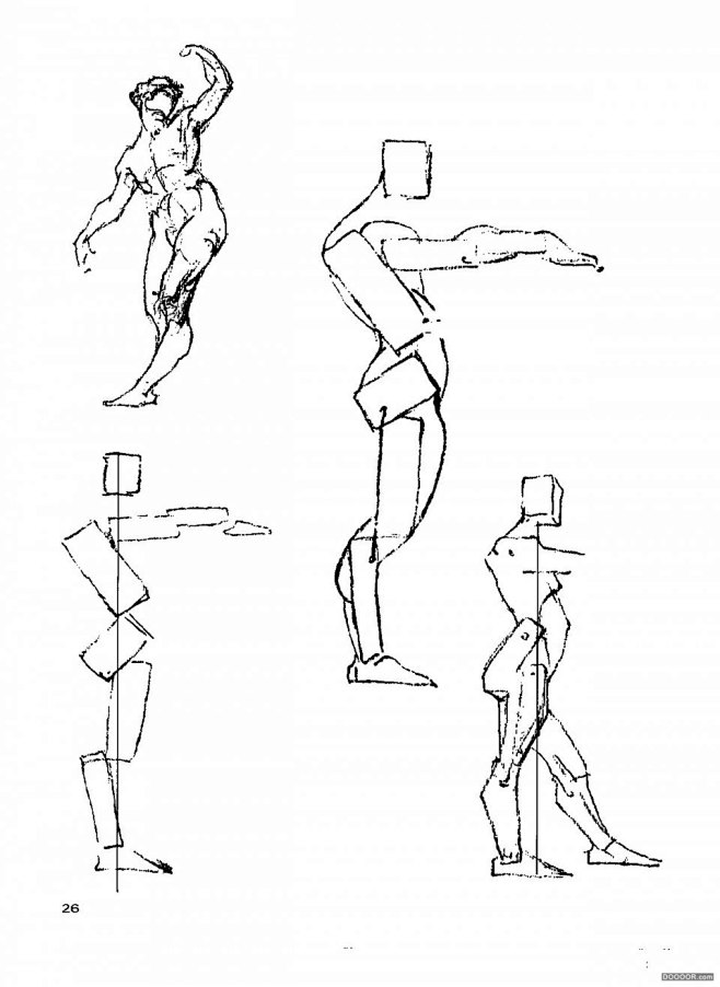 伯里曼人体结构绘画31jpg