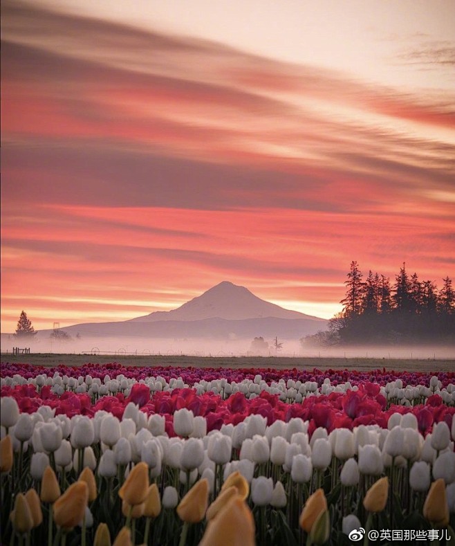 英国那些事儿的照片 - 微相册