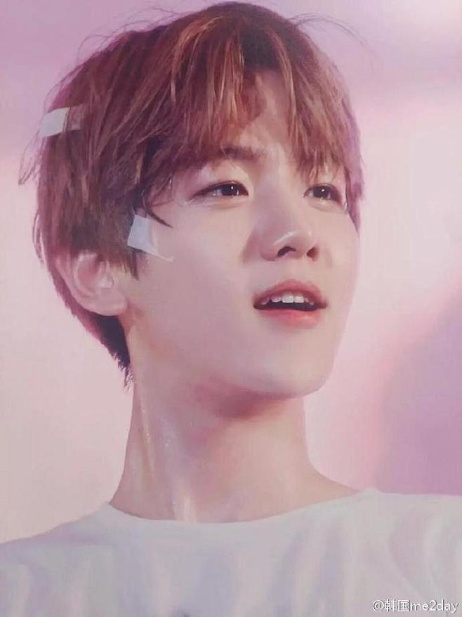 instiz软萌萌的少年边伯贤粉色西装猴猴看crlogo