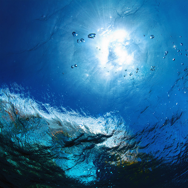 水下摄影素材下载 版权归优能美工教程网所有