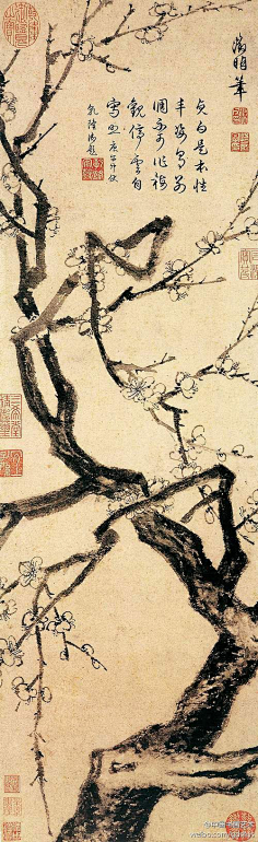 化身孤岛的小龙虾采集到书法、国画