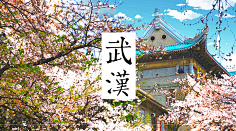 眼睛里的小月亮🌙采集到海报设计