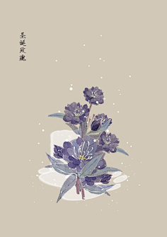 芍药居一霸采集到不知道叫啥名