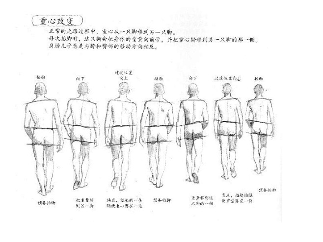 图文人的运动规律动画运动规律走路规律走路动画原画百度文库