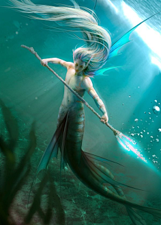 蓝月雪融采集到Mermaid