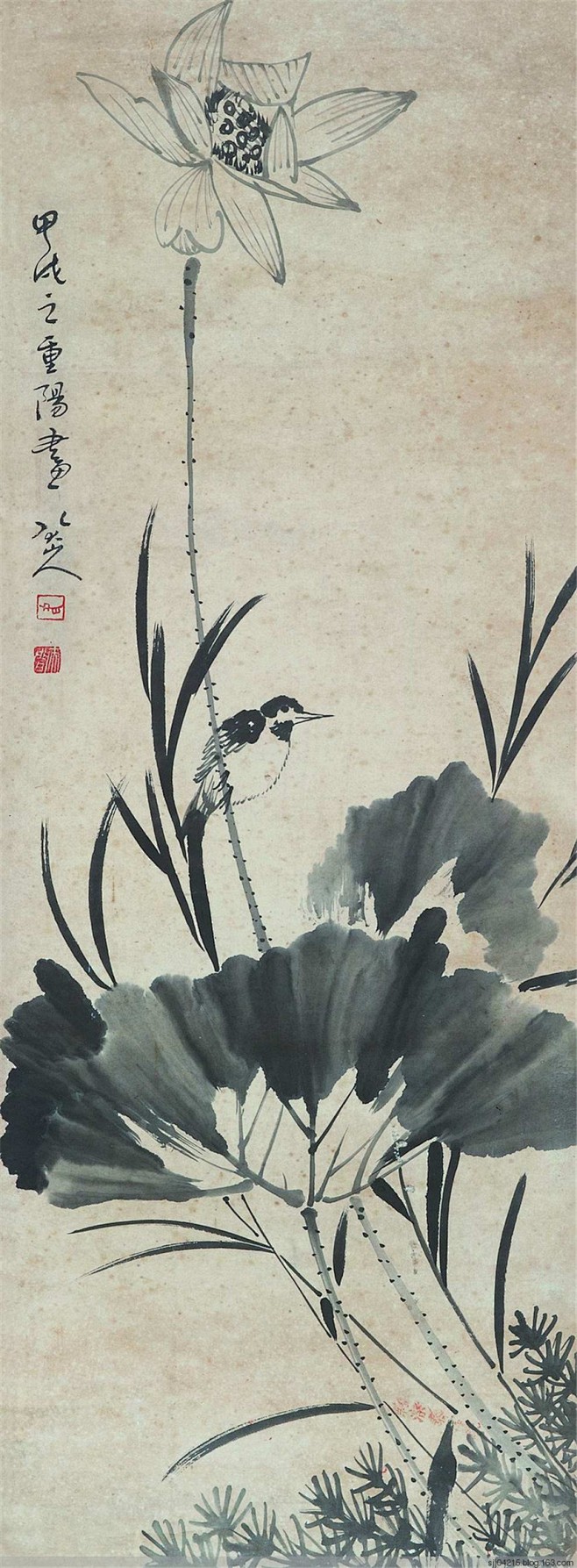 朱耷(八大山人) · 《荷花翠鸟》荷花翠.