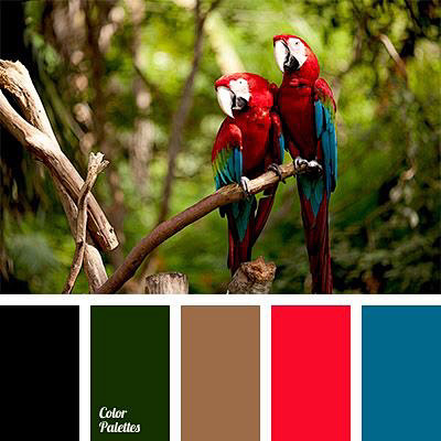 搭配【色彩搭配】