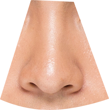 证件照素材五官眉毛素材五官素材4鼻子