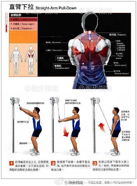 【直臂下拉】在进行这个重要的上背动作时，为了让你能保持固定的姿势操作，会同时用到你的核心肌群、大腿肌肉与背部肌肉来稳定身体。如果肩部不适的话请避开此动作。