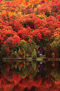 Autumn Lake, Quebec, Canada

Milky way scientists