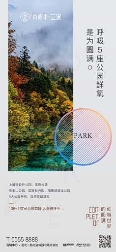 俞大壮采集到板式