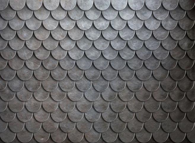 鳞甲的图片搜索结果