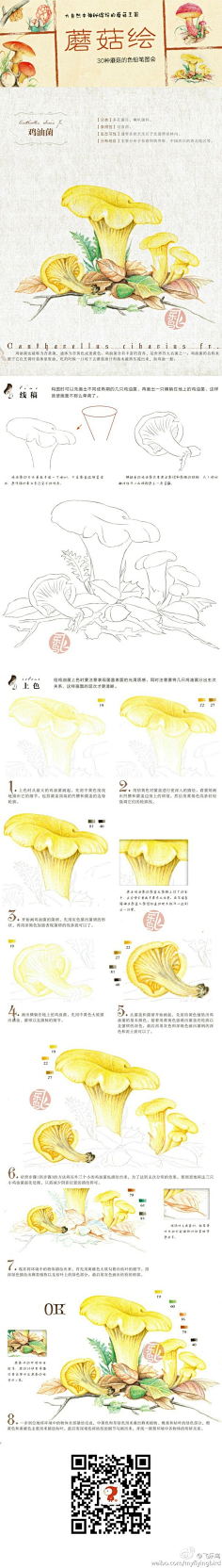 Derway采集到彩铅
