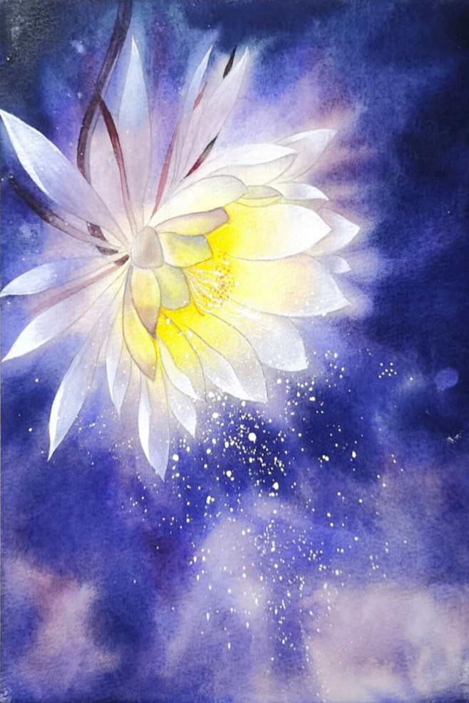 昙花一现   水彩