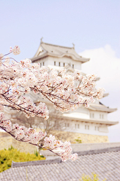 花瓣采集到人文地理