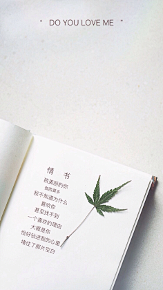 夏之日冬之夜采集到(.>__<.) 只言片语