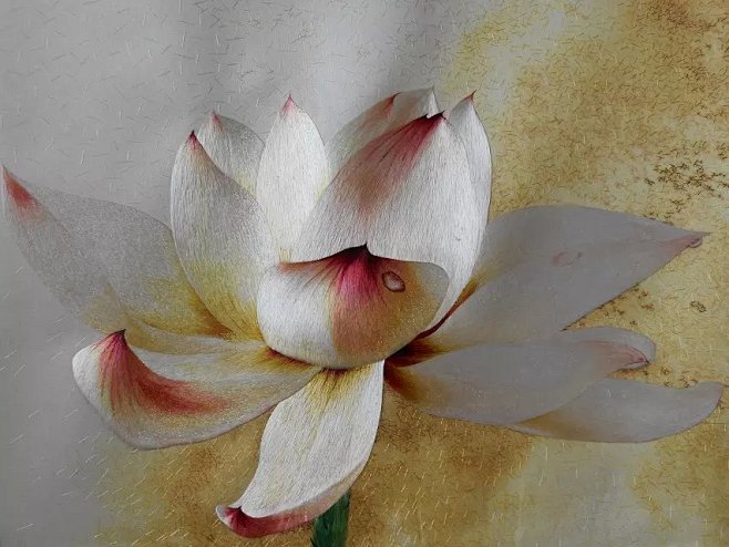 荷花蜀绣刺绣手工