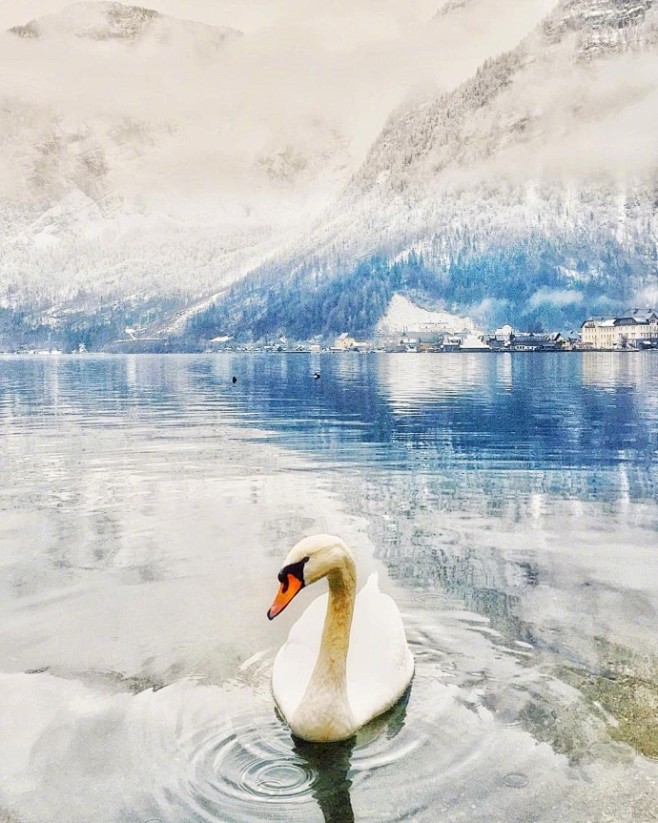 冬季的Hallstatt小镇 世界上最美的湖畔小镇 ins