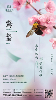 sasakie采集到节日