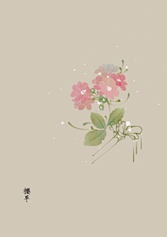 芍药居一霸采集到不知道叫啥名