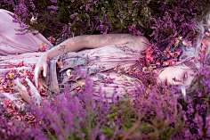 湖畔阴影采集到克里斯蒂·米切尔(Kirsty Mitchell),英国摄影师