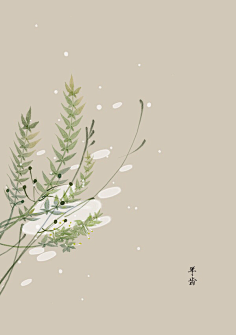 芍药居一霸采集到不知道叫啥名