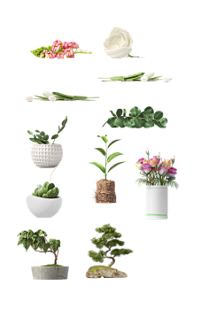 淘小菲采集到花草