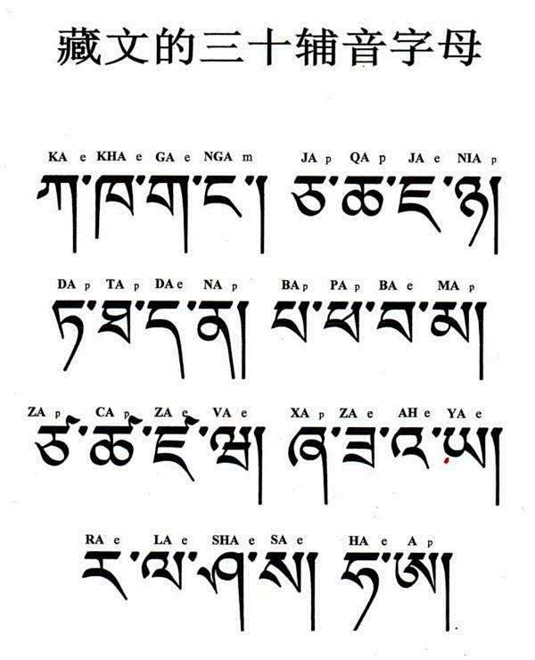 藏文字母草书图片