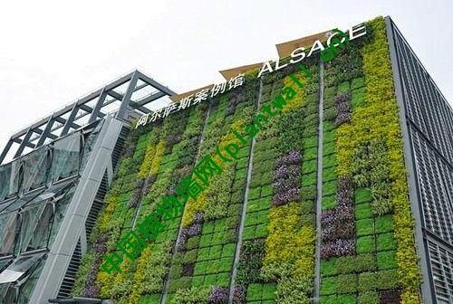 生態植物牆垂直綠化植物牆牆體綠化展會園區綠牆zh5