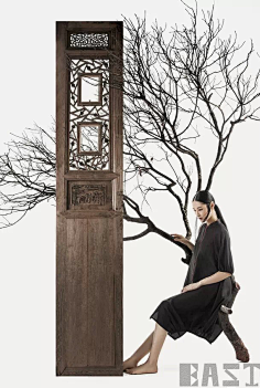 小虾米~~采集到电商