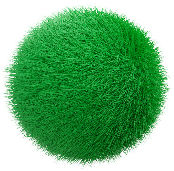 小球藻1