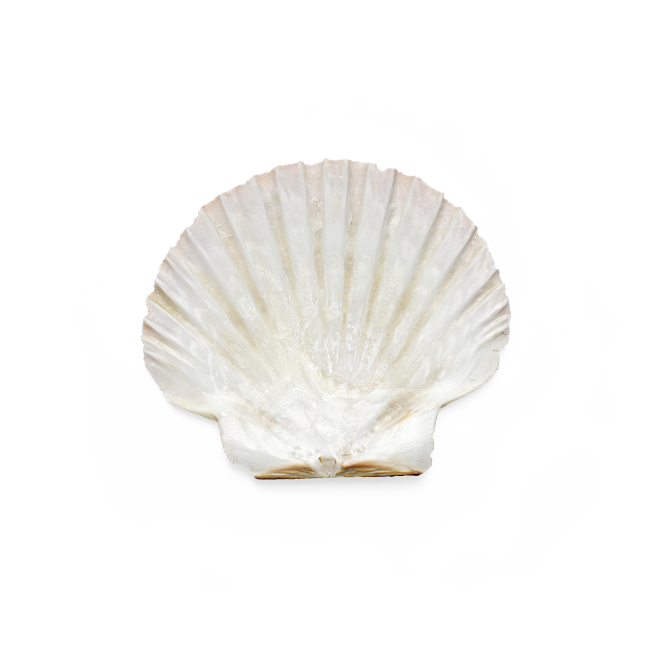 团子爱阳光采集到png